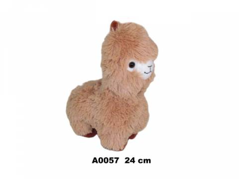 A0057
