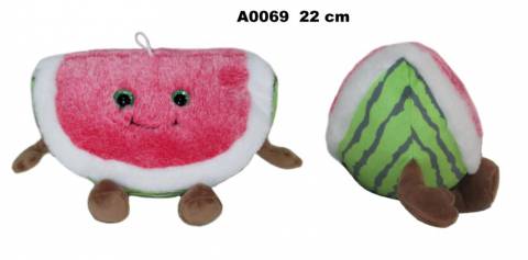 A0069