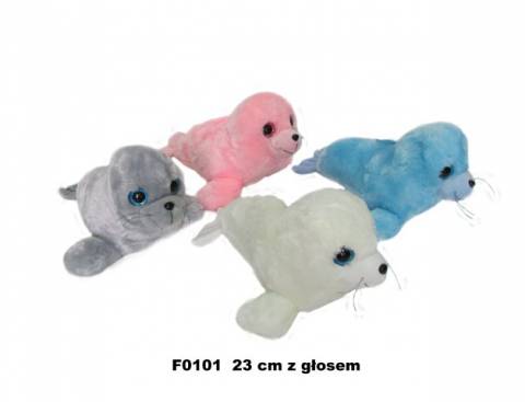 F0101