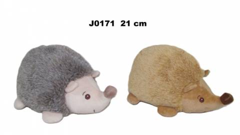 J0171