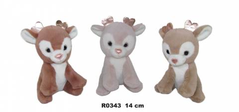 R0343